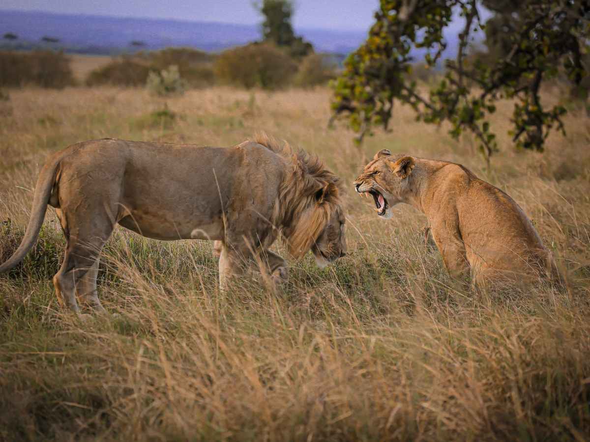 How courageous are you?