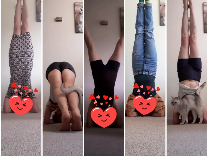 HIP HIP HOORAY: The ouchy adventures of a tragic optimist – part I